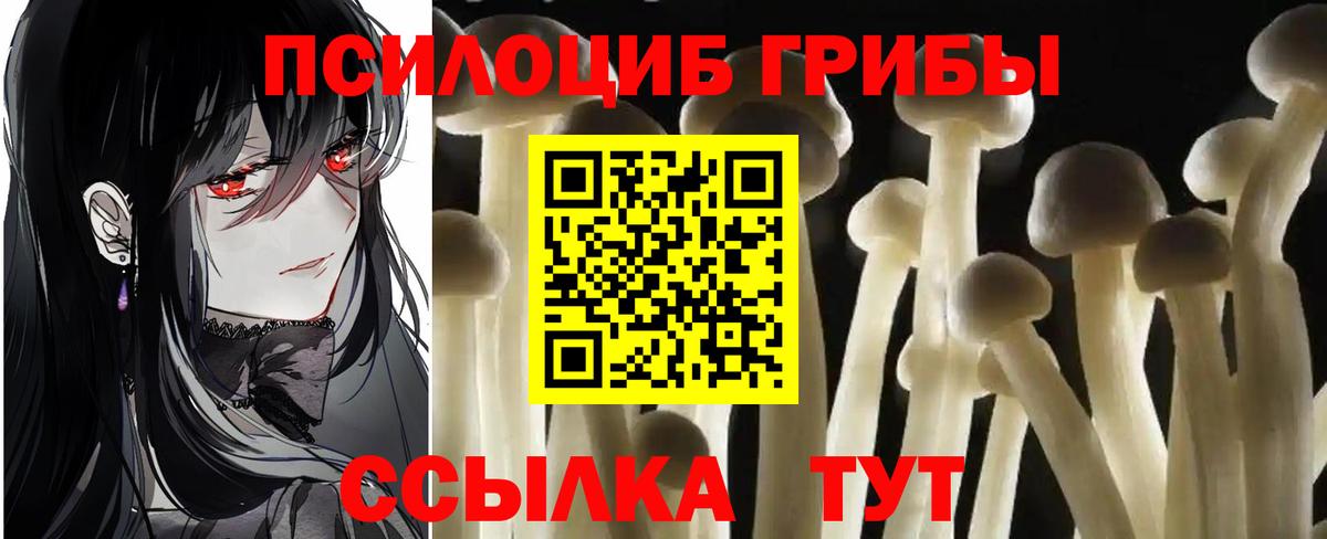 Лянтор  Галлюциногенные грибы ЛСД  Вход с VPN  Галлюциногенные грибы Psilocybe 