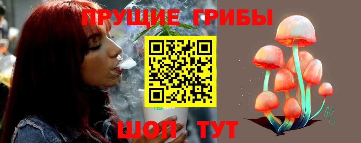 Псилоцибиновые грибы Cubensis Лянтор